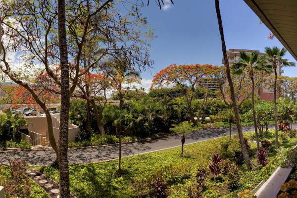 A lush garden with various trees, plants, and a pathway, set under a clear blue sky. There are buildings and parking in the background.