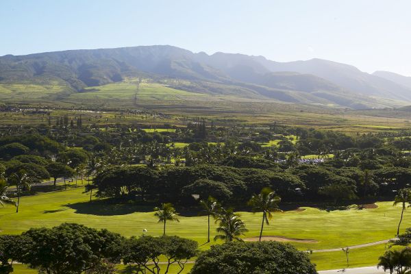 A vast, green landscape with trees and shrubs spreads out beneath a range of mountains, under a clear blue sky on a sunny day.