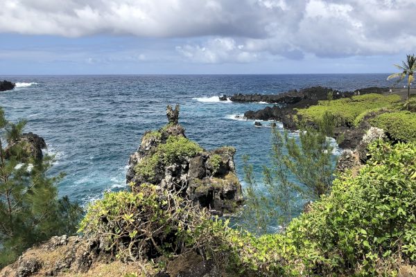 The image shows a coastal scene with rocky cliffs, lush greenery, and the ocean waves crashing under a partly cloudy sky.