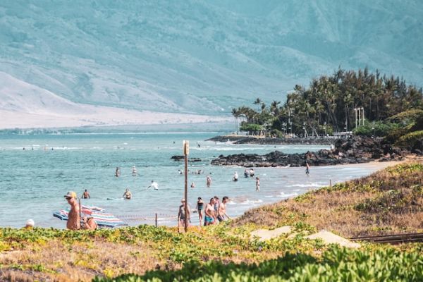 A beach scene with people enjoying the water and sun, lush greenery in the foreground, and mountains in the background.