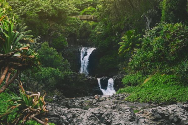 The image shows a scenic view of a waterfall surrounded by lush greenery and mountains in the background. The sunlight adds to the serene atmosphere.