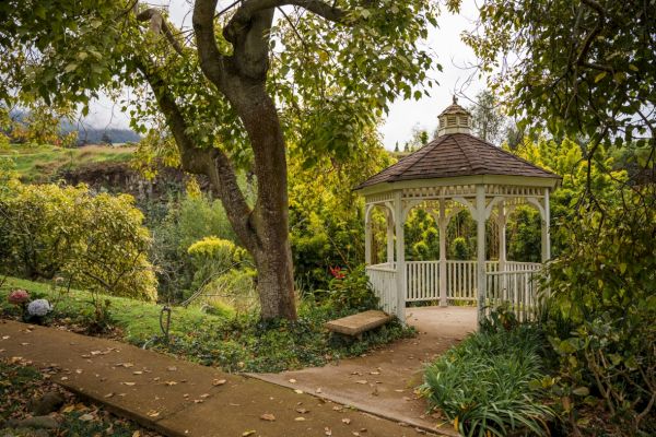 A peaceful garden scene featuring a white gazebo surrounded by lush green trees and foliage, with a bench and pathway leading to the gazebo.