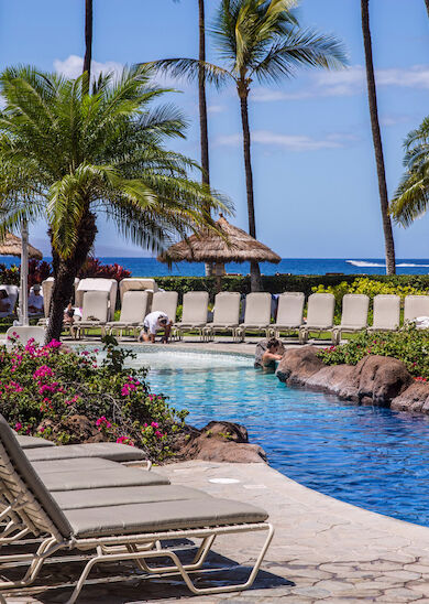 This image shows a tropical resort with a pool, lounge chairs, palm trees, and a sunny weather backdrop with clear skies and ocean views in the distance.