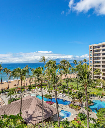 This image shows a beachfront resort with a large building, palm trees, swimming pools, and people relaxing by the beach and pool areas.