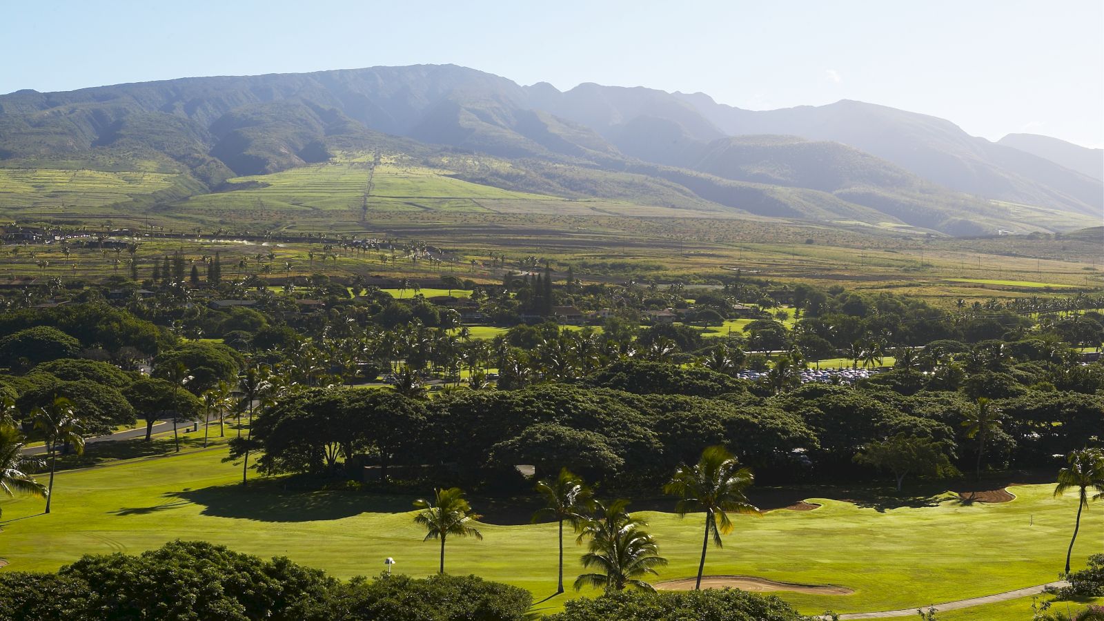 A lush landscape with a vast green field and scattered trees, set against a backdrop of mountains and a clear blue sky, fills the image.